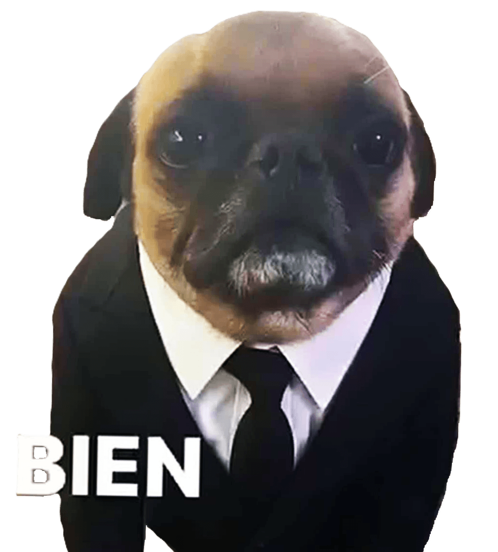 pug